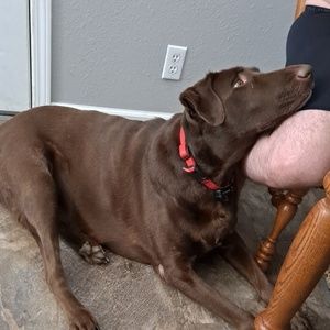 Meet your Posher, Valerie